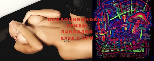 мяу мяу кристалл Алексин