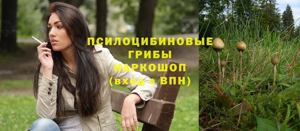 мяу мяу кристалл Алексин