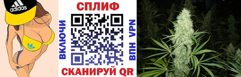 Шишки марихуана план  ссылка на мегу зеркало  Льгов 